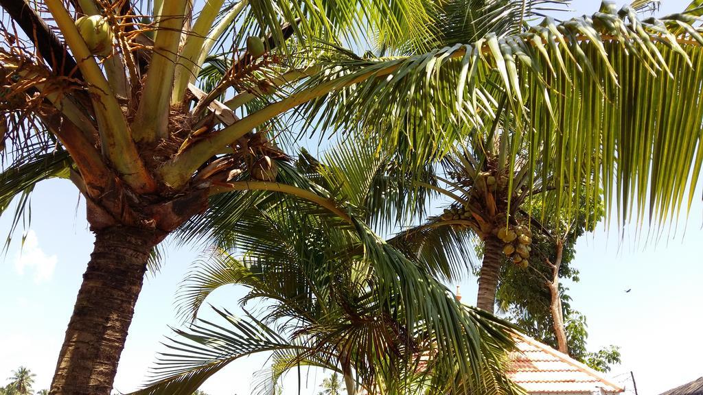Niya Nest Homestay Kochi Luaran gambar