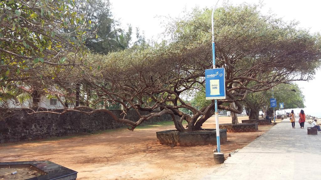 Niya Nest Homestay Kochi Luaran gambar